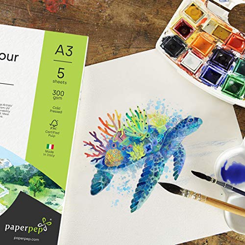 PaperPep Artists' Watercolour Paper 300GSM Cold Pressed A3 (Pack of 5) + A4 (Pack of 10) for Watercolour, Gouache, Ink, Acrylic, Wet & Mixed Media, Art Painting, Drawing for Artists' & Amateurs - Image 5