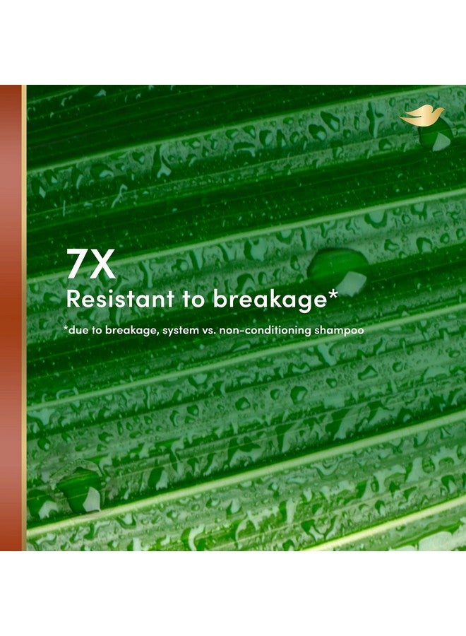 دوف بلسم Re+Al Bio-Mimetic Care للشعر المعرض للتكسر، بلسم مقاوم للشعر خالٍ من السيليكون مع جوز الهند والإيلاستين النباتي، 10 أونصة - Image 3