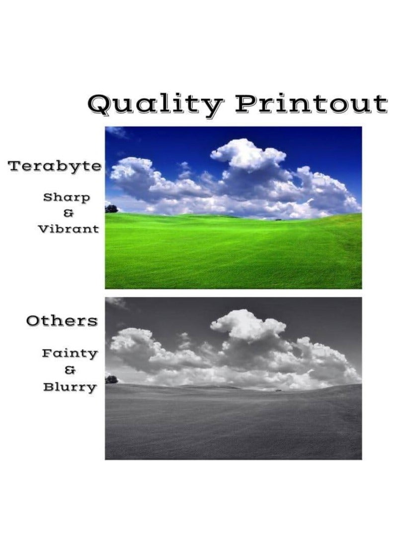 Terabyte DR261-CL Imaging Drum Unit Set for MFC-9140CDN MFC-9330CDW HL-3150CDN and HL-3170CDW Printers 4-pcs - Image 2