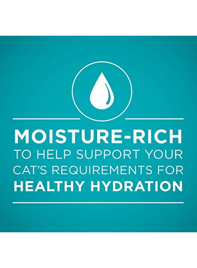 بيورينا ون مجموعة متنوعة من الأطعمة الرطبة الطبيعية عالية البروتين للقطط، وصفات من الديك الرومي والدجاج والتونة من True Instinct - (عبوة من عبوتين من 12 علبة) 3 أونصات - Image 4