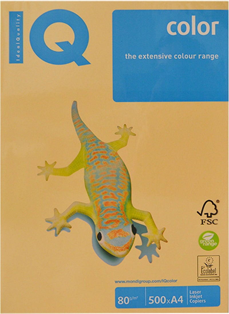 Iq Color Colored Photocopy Paper A4 80 Gram 500 Golden Yellow - pzsku/ZD7DBD2315E347E95E01DZ/45/_/1729174916/2263a376-d73c-4c21-8e4e-396b52ac1bd1