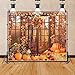 OFILA Autumn Scenery Forest Backdrop 10x8ft Rustic Window Sunshine Pumpkin Photo Background Thanksgiving Day - Image 2