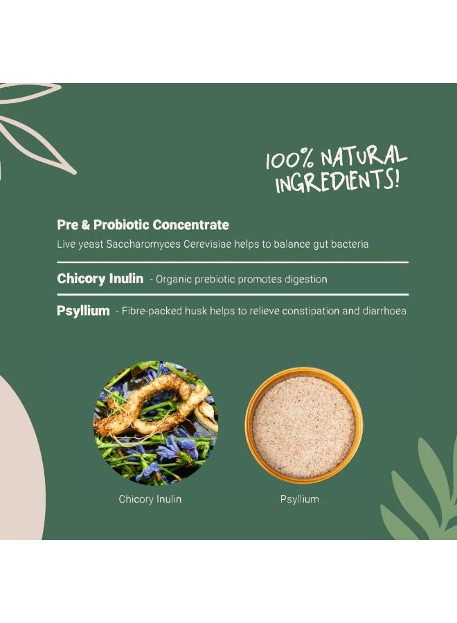 Pets Purest Digestive Prebiotic Probiotic for Dogs, Cats & Pet - 100% Natural Fibre Digestion Enzymes Immune Support Supplement for Gut Health and Healthy Stools - Image 5