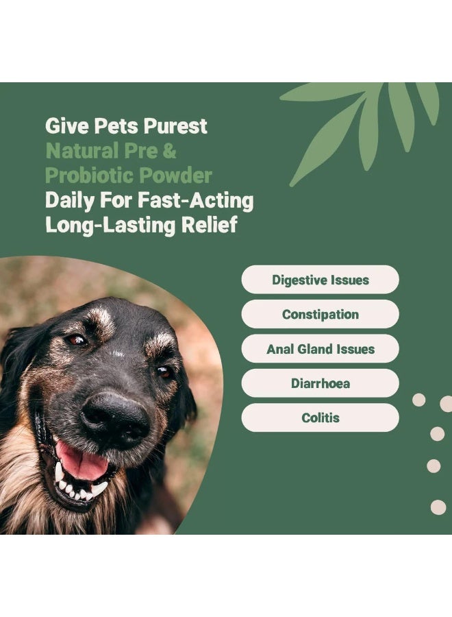 Pets Purest Digestive Prebiotic Probiotic for Dogs, Cats & Pet - 100% Natural Fibre Digestion Enzymes Immune Support Supplement for Gut Health and Healthy Stools - Image 3