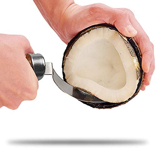 PERMAFROST Coconut Knife Opener Tool Stainless Steel Coconut Meat Removal Knife with Wooden Handle and Non-Slip Handle Sleeve -1 Pcs - Image 4
