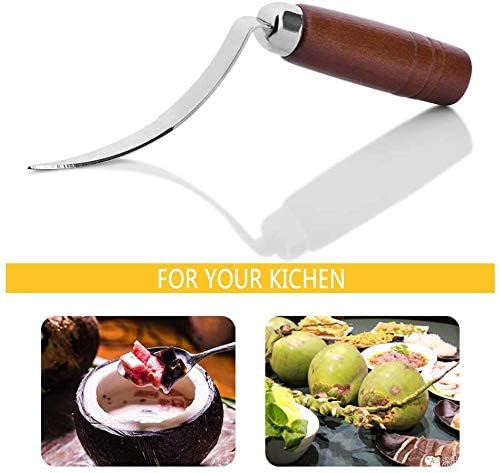 PERMAFROST Coconut Knife Opener Tool Stainless Steel Coconut Meat Removal Knife with Wooden Handle and Non-Slip Handle Sleeve -1 Pcs - Image 5