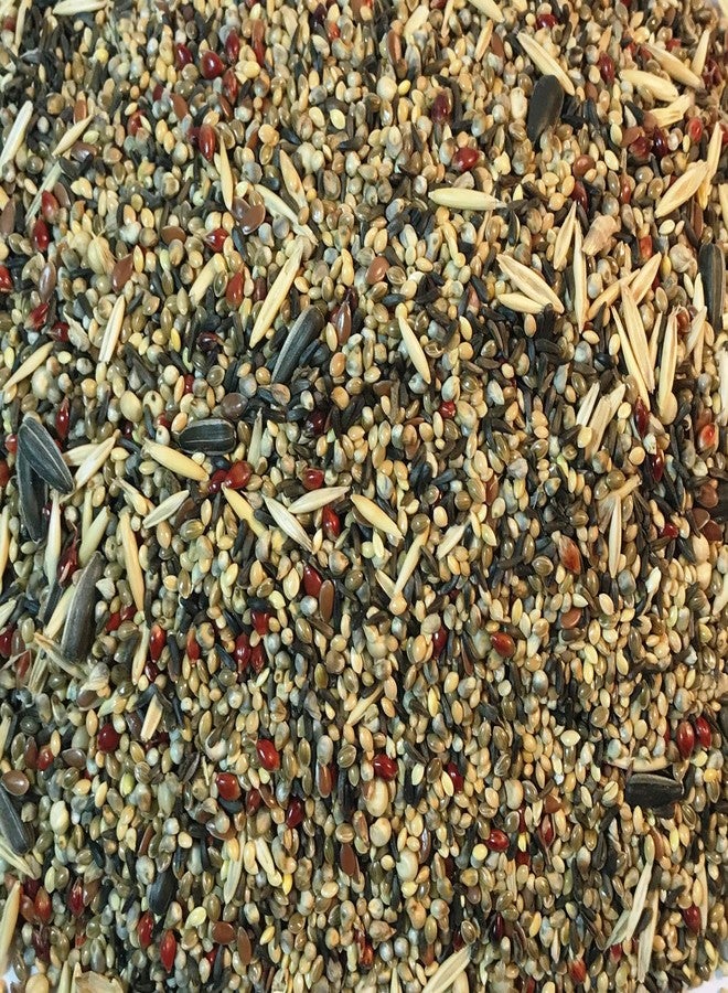 مزيج من البذور والمكسرات، أغذية طبيعية للطيور، مناسبة لطيور الكوكاتيل، وطيور الحب، وطيور الحسون الفضي، وطيور المونيا، وطيور الببغاء، وطيور البادجي، والحمام، والطيور التي تتغذى على الحبوب والبذور (1 كجم) - Image 3