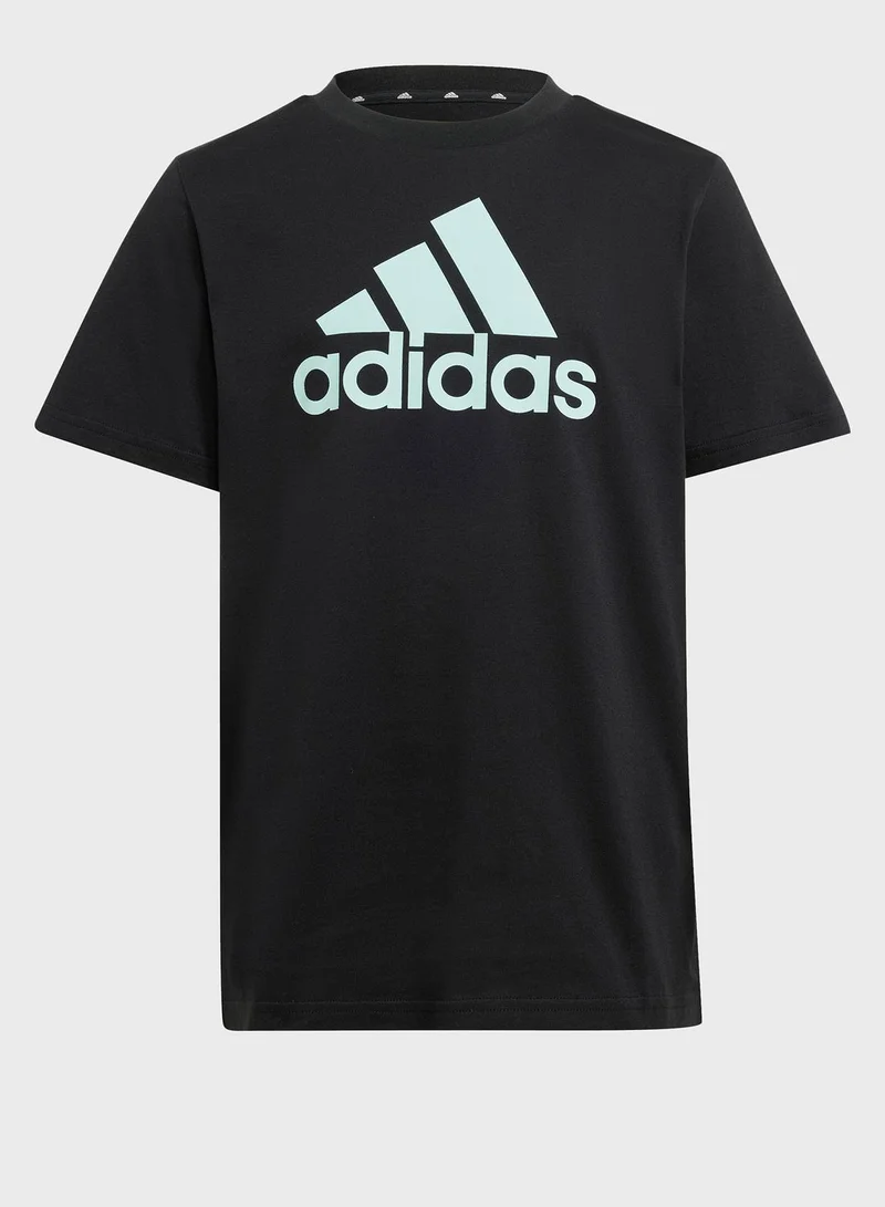 Adidas Essentials Big Logo Cotton T-Shirt