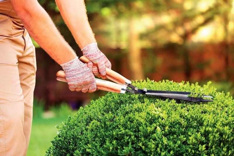 Tramontina Grass and Hedge Shears with metal Blades and Wood Handles - Image 3