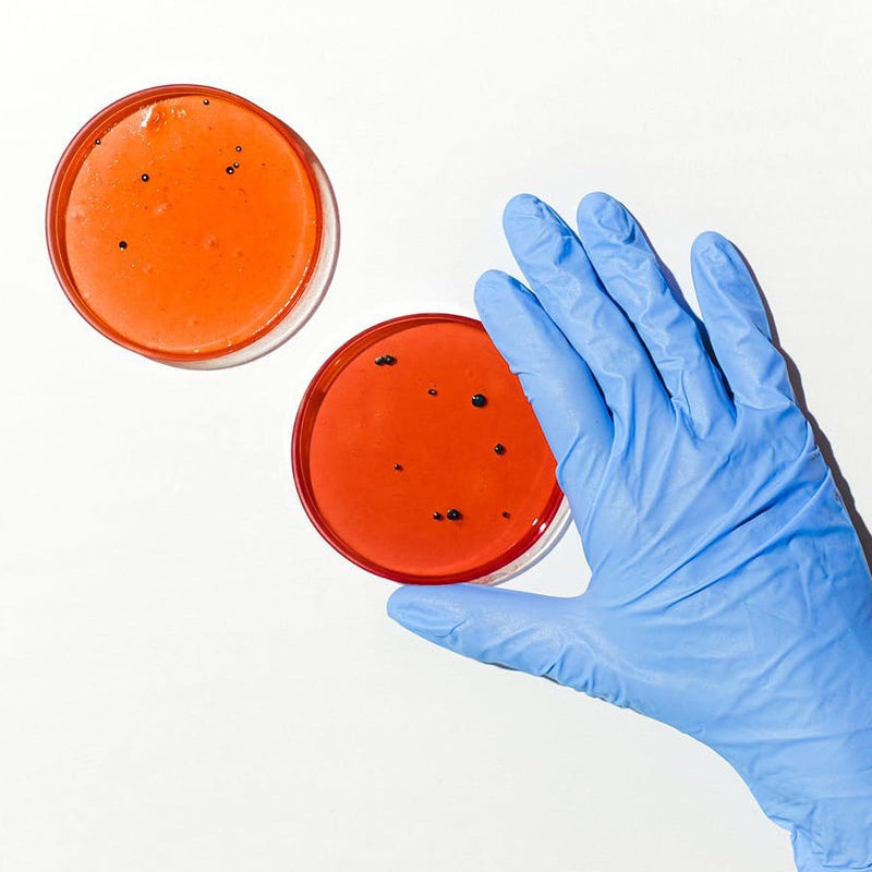 35mm 60mm 70mm Plastic Petri Dishes with Lids 30pcs Disposable Culture Plates for Microbiology Science Projects - Image 5