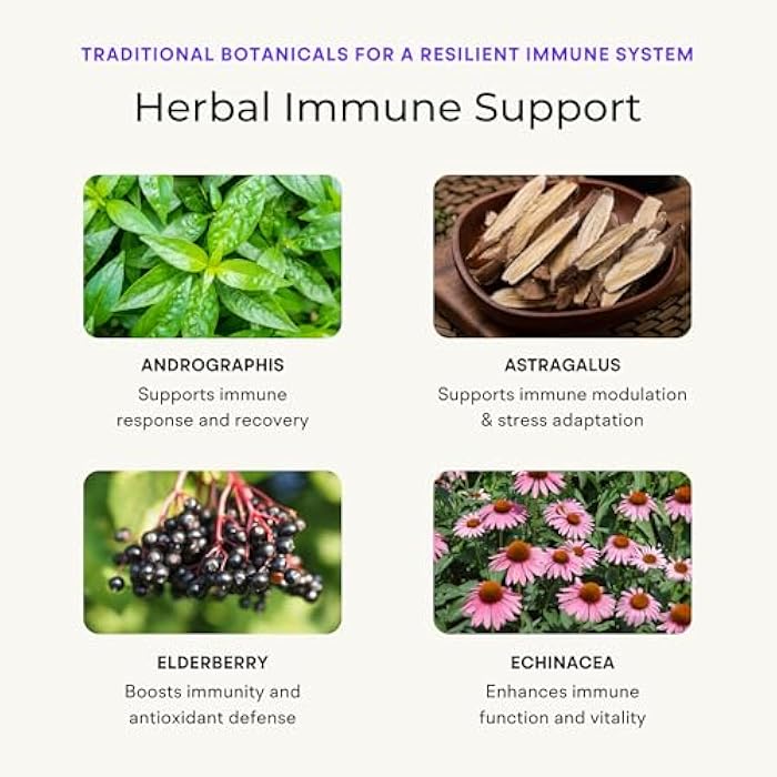 VitaminIQ Immune Support Supplement with Vitamin C and Zinc, Sambucus Elderberry, Vitamin D3, Glutathione, Echinacea Capsules - Natural Immune Booster Herbal Supplements - Vegan, Gluten-Free (60ct) - Image 5