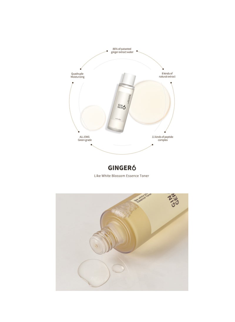 GINGER6 Anti-Aging and Hydrating Facial Essence Toner with Peptides Hyaluronic Acid and Ginger Extract, First-Step Booster, Natural Ingredients GINGER6 Like White Blossom Essence Toner 150ml (5.07 fl.oz.)  - Image 2
