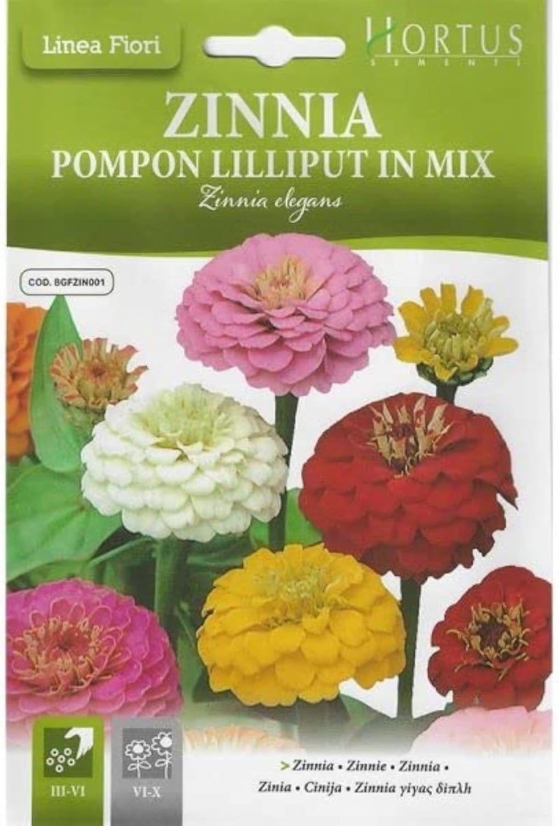 Hortus Zinnia Pompon Lilliput Mix Premium Quality Seeds - Colorful Flower Seeds for Garden - Image 1