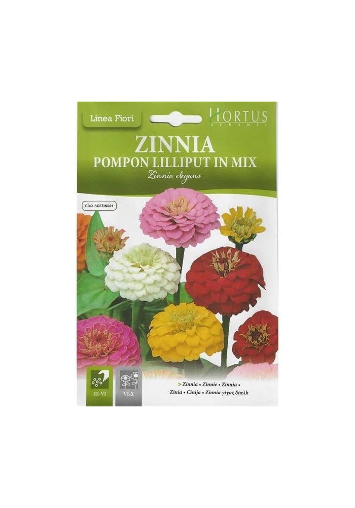 Hortus Zinnia Pompon Lilliput Mix Premium Quality Seeds - Colorful Flower Seeds for Garden - Image 2