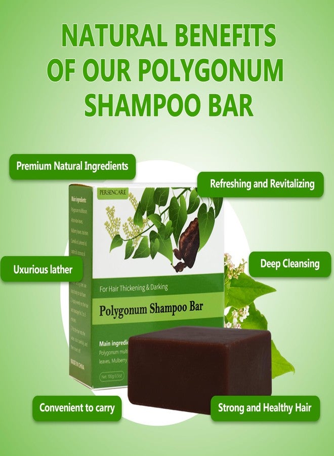 VAEYAE مجموعة شامبو وبلسم صلب من بوليغونوم مولتيفلوروم 2 قطعة، هه شou وو لتكثيف الشعر الرمادي، بار فوي تي للشعر الرقيق والمظلم، صابون فوي تي الأسود للرجال والنساء لجميع أنواع الشعر - Image 4