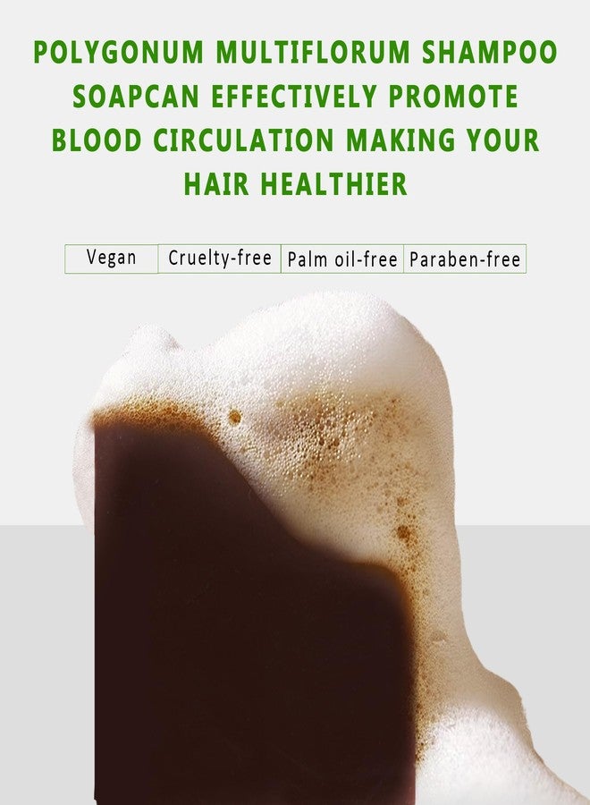 VAEYAE مجموعة شامبو وبلسم صلب من بوليغونوم مولتيفلوروم 2 قطعة، هه شou وو لتكثيف الشعر الرمادي، بار فوي تي للشعر الرقيق والمظلم، صابون فوي تي الأسود للرجال والنساء لجميع أنواع الشعر - Image 3