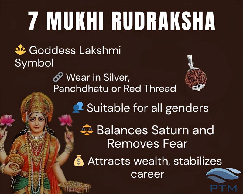 PTM Natural Certified 1/2/3/4/5/6/7/8/9/10/11/Ganesh/Gaurishankar mukhi Astrological Original Nepali Rudraksha 925 BIS Hallmark Sterling Silver Pendant for Men & Women - Image 3