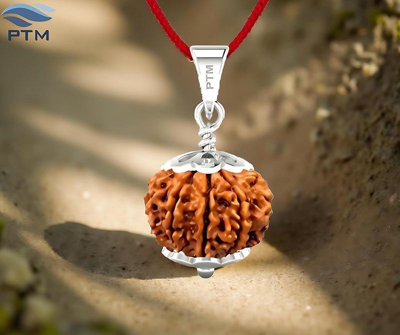 PTM Natural Certified 1/2/3/4/5/6/7/8/9/10/11/Ganesh/Gaurishankar mukhi Astrological Original Nepali Rudraksha 925 BIS Hallmark Sterling Silver Pendant for Men & Women - Image 2
