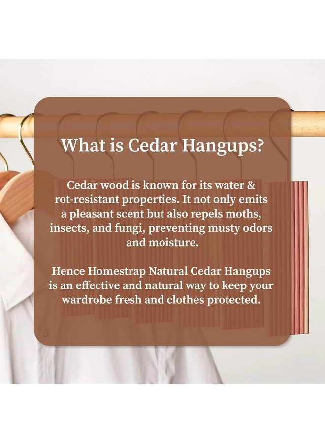 HomeStrap Homestrap Natural Cedar Air Freshener Hang-Ups (Pack of 20)|Hangers Removes Odours and Prevents Pests and Mold|Cedar Block Hangups for Wardrobe  - Image 3