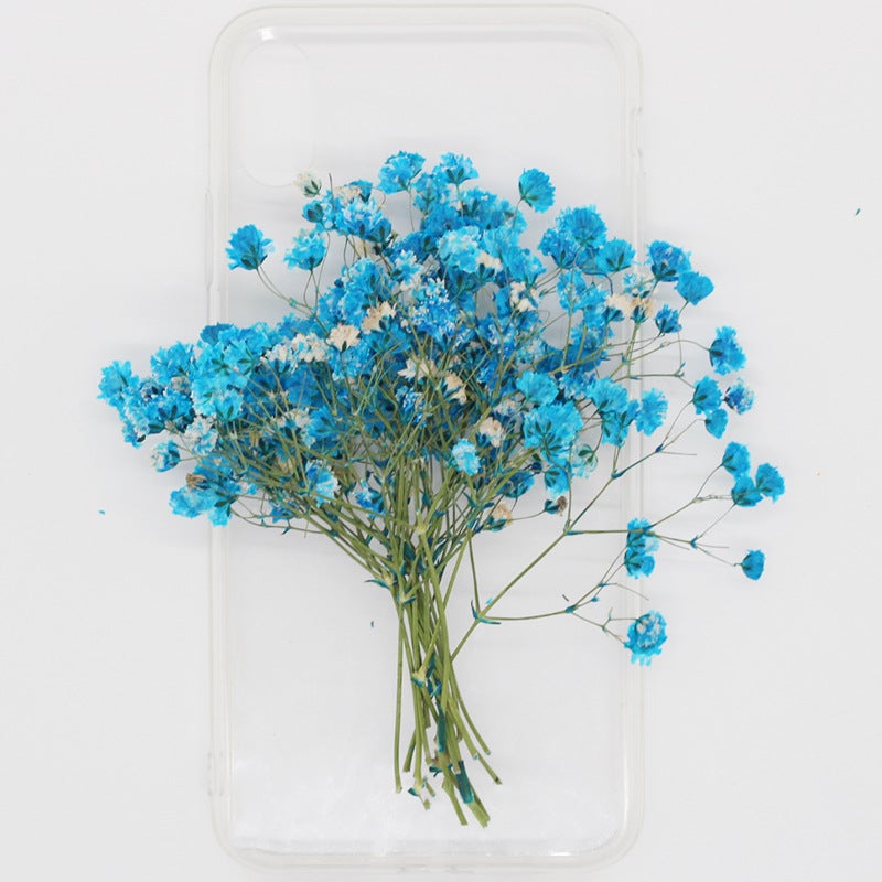 Gypsophila Dried Flower Flower Natural Plant Teaching Specimen Diy Dropping Glue Mobile Phone Case Po Frame Children'S Activity Material - Image 5