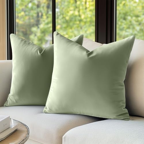 Lazzzy Green Velvet Throw Pillow Cover 18 x 18 Decorative Pillowcase for Couch Bed Sofa Chair Soft Solid Square Modern Cushion Case Olive Sage 18 x 18 One Piece