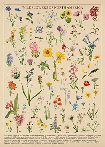BBOLDIN Vintage Wildflowers Puzzle 1000 Pieces for Adult Botany Plant Flower Puzzle of Wildflowers of North America Floral Jigsaw Puzzles Nature - Image 5