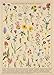 BBOLDIN Vintage Wildflowers Puzzle 1000 Pieces for Adult Botany Plant Flower Puzzle of Wildflowers of North America Floral Jigsaw Puzzles Nature - Image 3