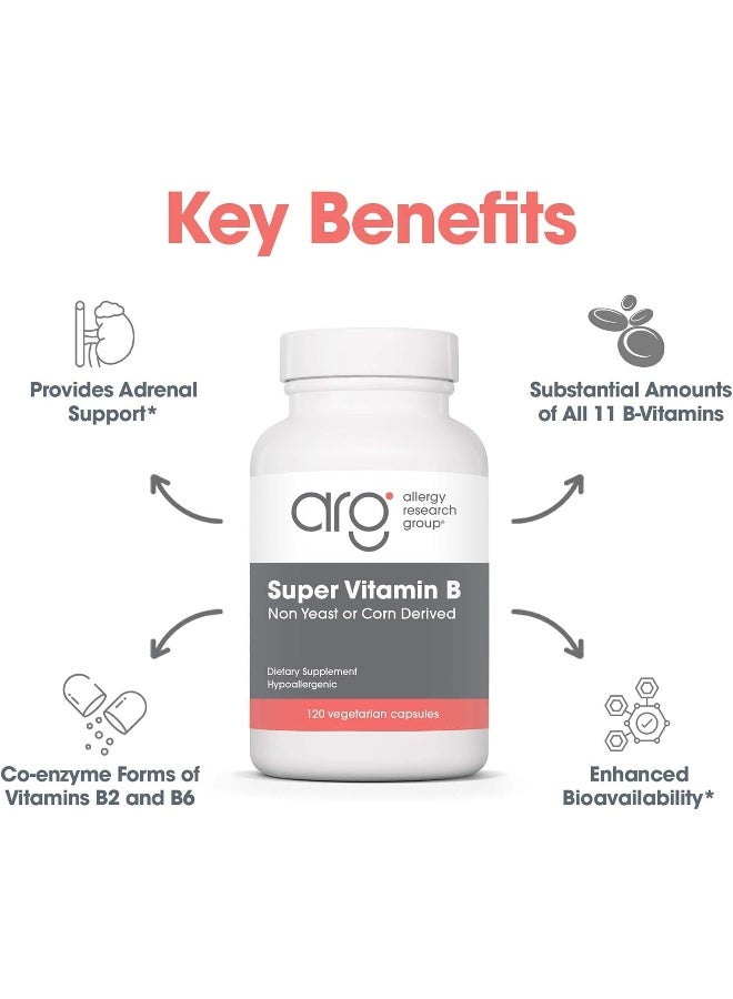 Allergy Research Group Super Vitamin B Complex - Vitamin B for Men & Women, Vitamin B Supplement, Vitamin B12, Vitamin B6, Vegetarian Capsules, Corn-Free, Yeast-Free - 120 Count - Image 4
