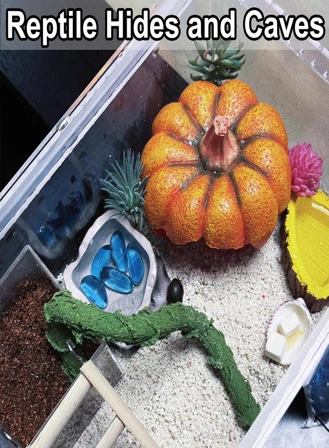 Anranmm Hermit Crab Hideout Resin Simulation Halloween Pumpkin House Reptile Hides and Caves Chameleon Rest Hut Aquarium Habitat Decor Accessories for Bearded Dragon Leopard Lizard Snake Tortoise Frog Gecko - Image 5