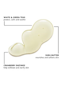 Arcona ARCONA Cranberry Toner White Tea Purifying Cleanser - Full Size Value Set  - Image 2