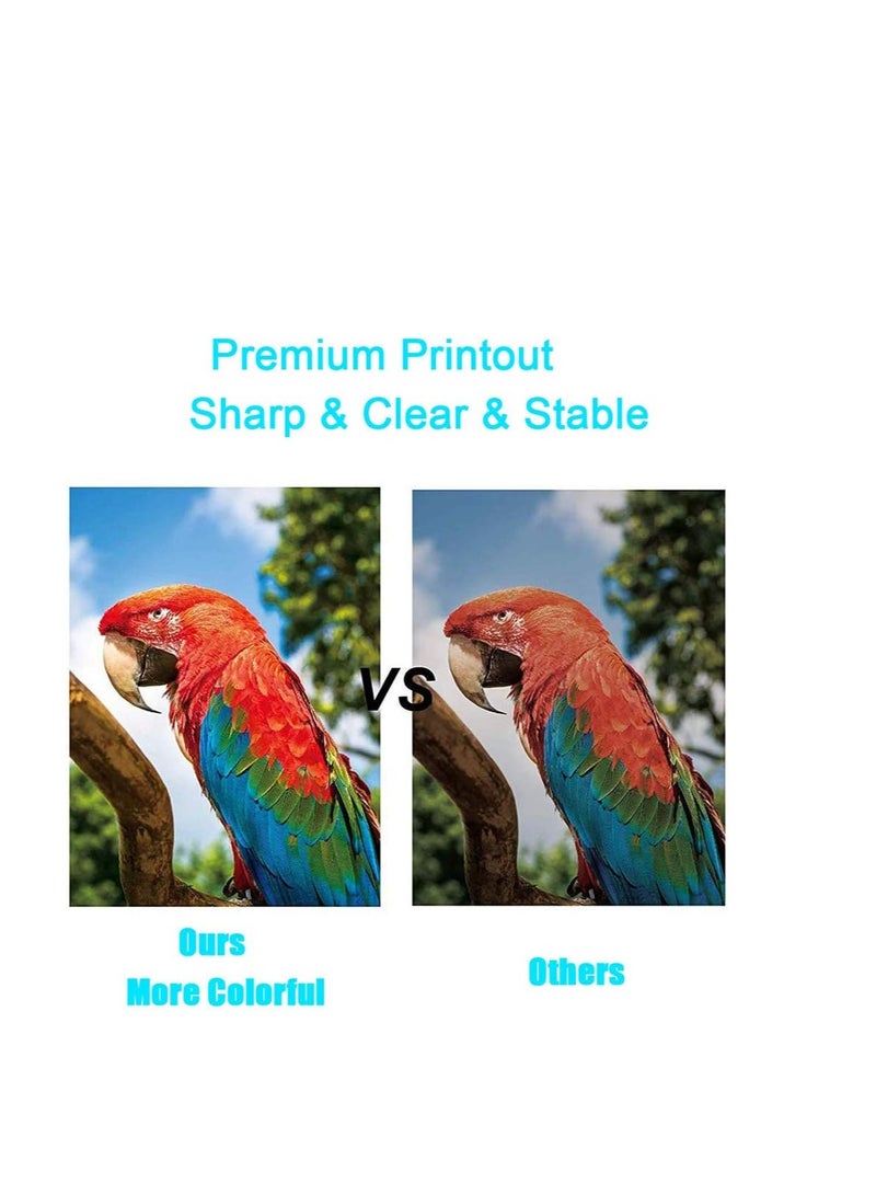 Terabyte High Grade Compatible Toner Cartridge Replacement for TK-8365 for Kyocera TASKalfa 2554ci Color Multifunction Printers BLACK TONER - Image 5