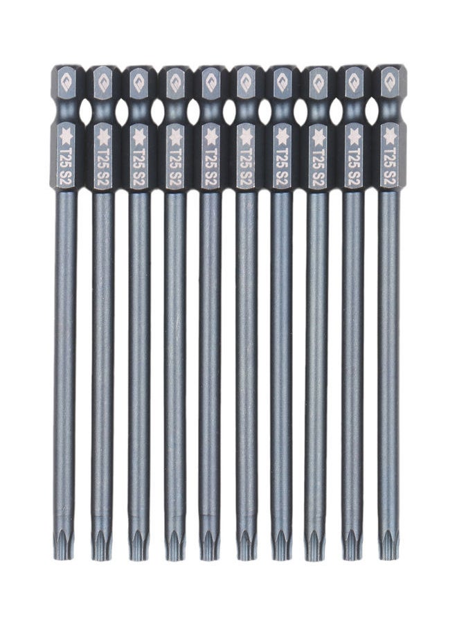 NIBEMINENT - 10-Piece Security Torx Bit Set Grey - Image 1