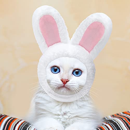 Weewooday 5 Pcs Cat Adorable Costume Bunny Hat with Ears Funny Mane Cat Hat for Pets and Small Dogs Kitten Puppy Party Costume Accessory Headwear(Rabbit, Lion, Leopard, Tiger, Giraffe) - Image 4