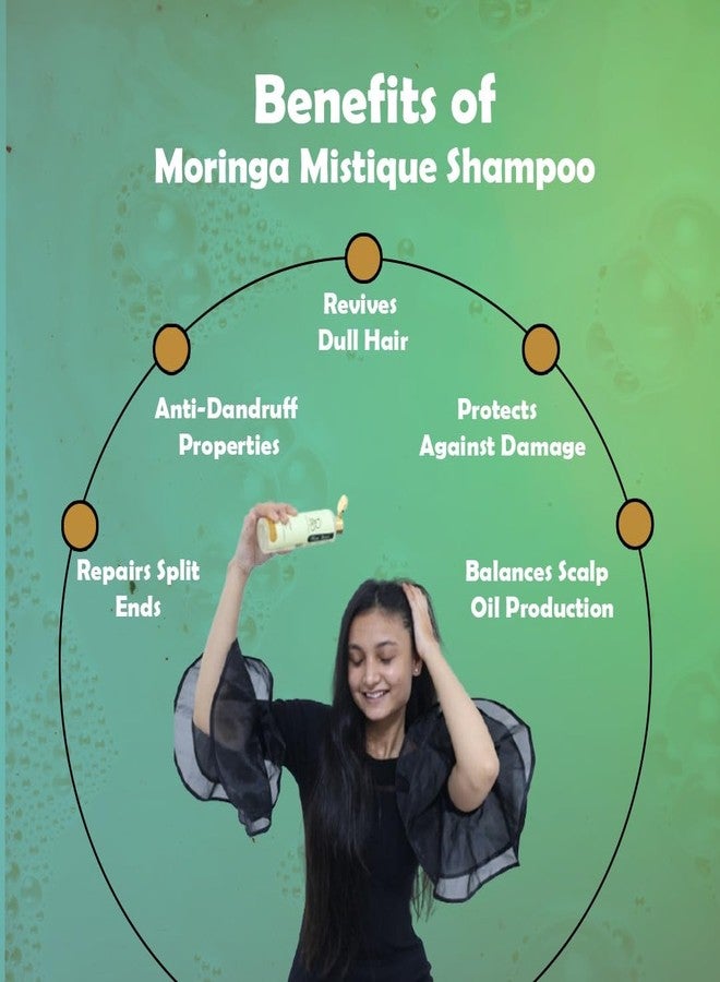 Botanical Beauty Moringa Anti Dandruff Shampoo | Plant-Based Herbal Shampoo for Hair Fall & Dandruff Control - with Neem, Bhringraj, Aloe Vera | Herbal Shampoo for Men & Women | All Hair Types | 250ml - Image 3