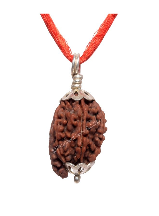 ARKAM Ganesh Rudraksha Certified/Original Nepali Ganesh Rudraksh/Natural Ganesh Rudraksha with Silver Pendant (Brown) with Certificate and Puja Instructions - Image 1
