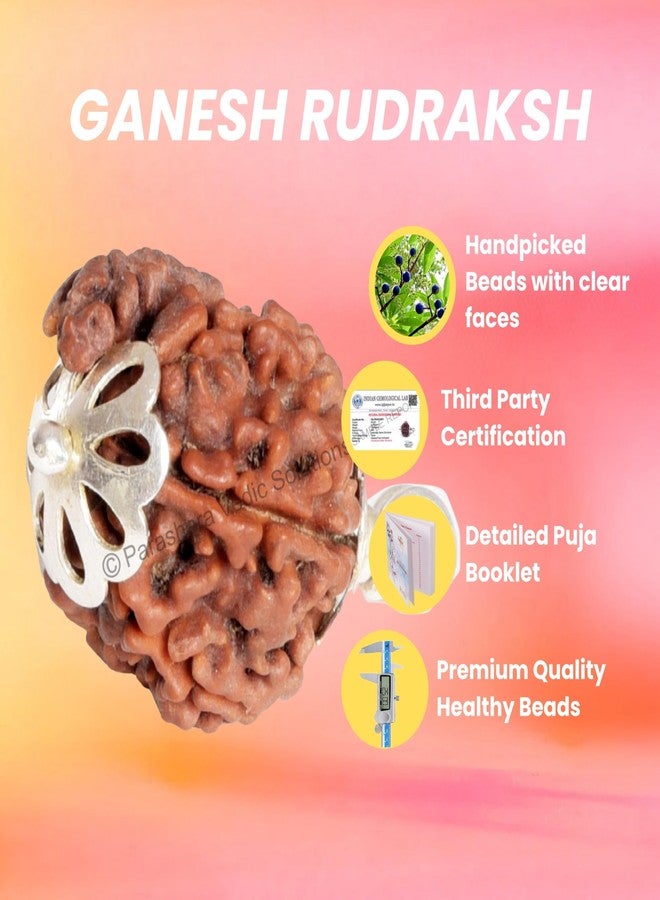 ARKAM Ganesh Rudraksha Certified/Original Nepali Ganesh Rudraksh/Natural Ganesh Rudraksha with Silver Pendant (Brown) with Certificate and Puja Instructions - Image 3