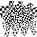 HWQVA 12Pcs Black and White Checkered Iron on Classic Racing Heart Star Lightning Iron on Embroidery Patches for Clothing Backpacks Hats - Image 2