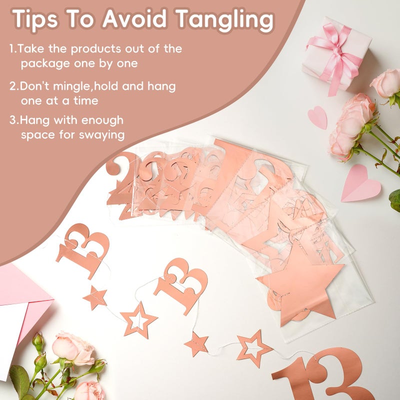 Eucutur Rose Gold 13Th Birthday Decorations For Girls  Pre-Strung Glitter Twinkle Number 2012 13 Years Old Hanging Streamer Banner Party Supplies  Pink Happy 13Th Bday Thirteen Official Teenager Decor - Image 3