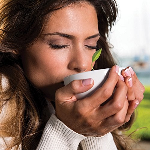 Tea Forte Cafe Cup White Porcelain Tea Cup and Lid, Steeps 8 oz., Microwave and Dishwasher Safe - Image 4