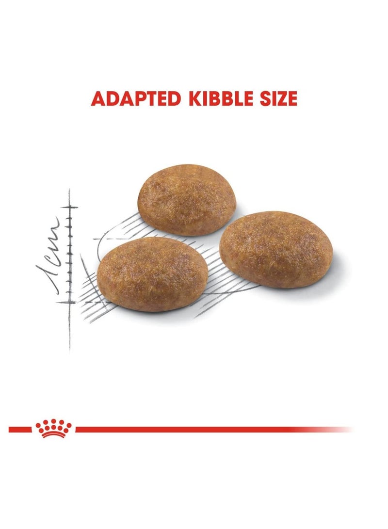 ROYAL CANIN Active Life Outdoor Dry Cat Food 2kg - Image 3