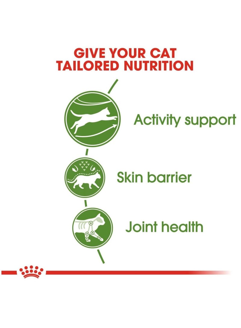 ROYAL CANIN Active Life Outdoor Dry Cat Food 2kg - Image 2