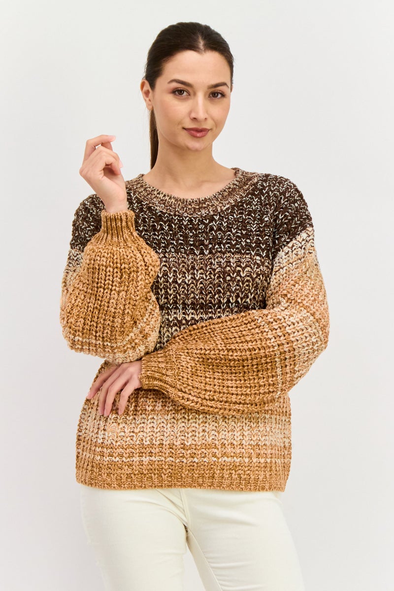 DEX Women Crew Neck Long Sleeves Knitted Sweater, Brown Combo - Image 1