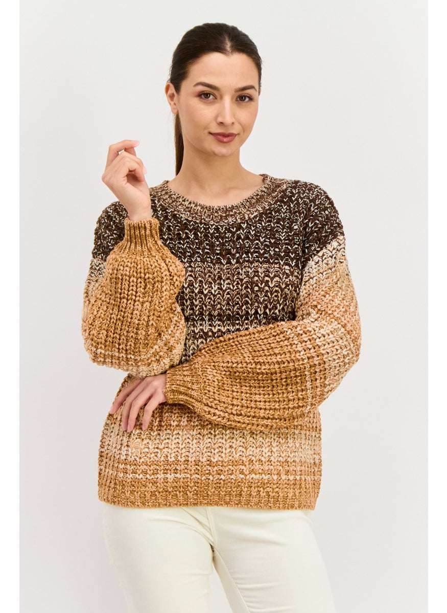 Women Crew Neck Long Sleeves Knitted Sweater, Brown Combo - pzsku/ZD7F858A6756CDAE9B942Z/45/_/1737642978/0367de01-e156-410c-9c48-58927d93cc04