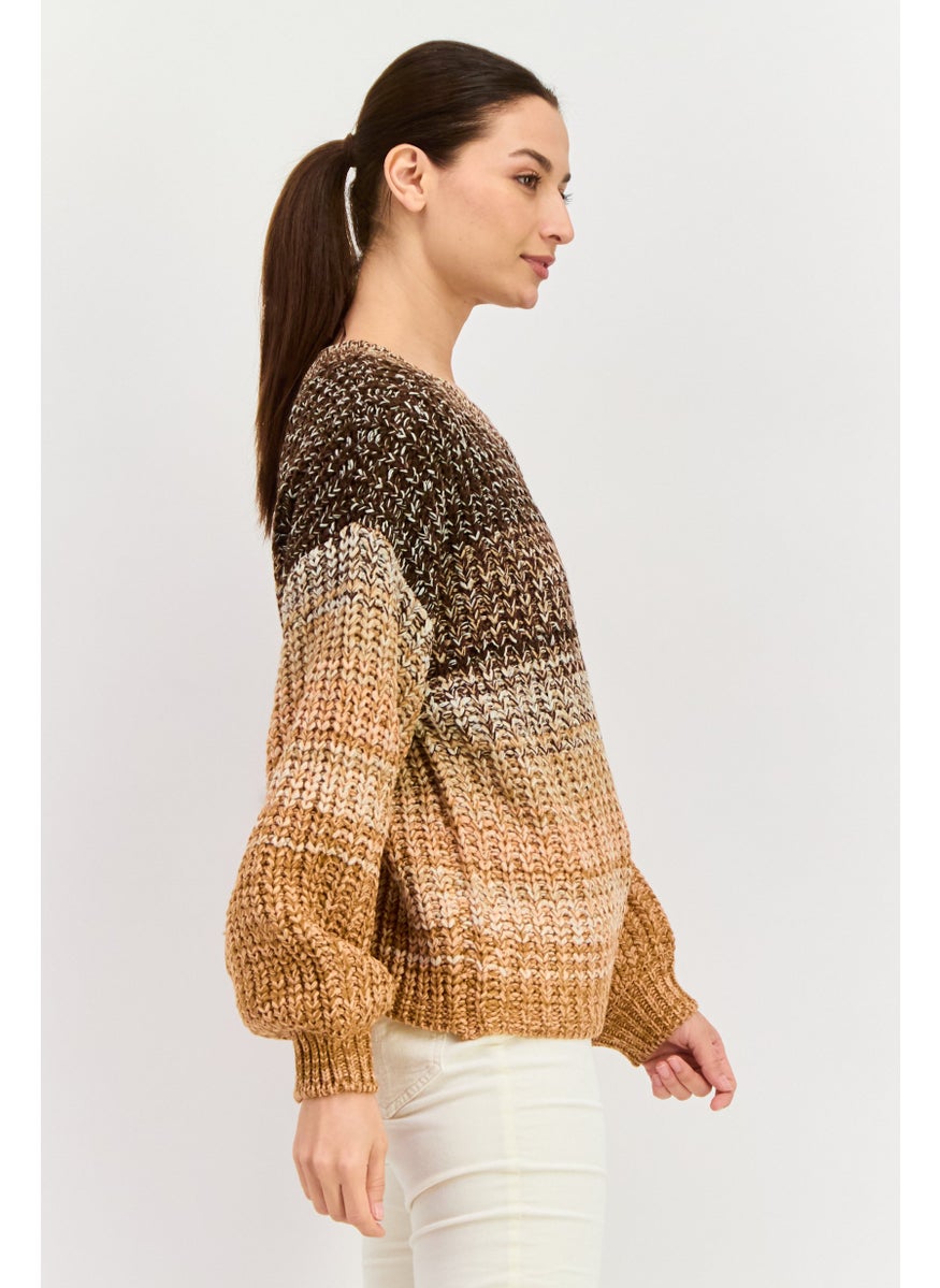 Women Crew Neck Long Sleeves Knitted Sweater, Brown Combo - pzsku/ZD7F858A6756CDAE9B942Z/45/_/1737643061/f43aff22-5a17-47a7-9f9d-f9fce9fa0b9f