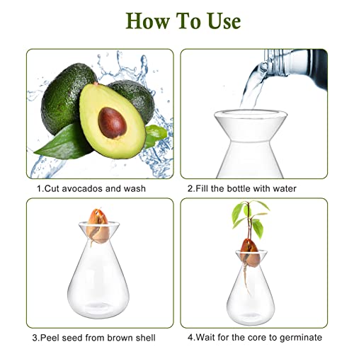 Emsiok 2 Pieces Avocado Seed Starter Vases, Avocados Tree Growing Kit Acorn Bulb Vase Grow Glass Avocado Pit Planter Pot Clear Hydroponics Container for Gardening Lover - Image 4