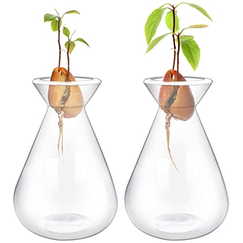 Emsiok 2 Pieces Avocado Seed Starter Vases, Avocados Tree Growing Kit Acorn Bulb Vase Grow Glass Avocado Pit Planter Pot Clear Hydroponics Container for Gardening Lover - Image 1