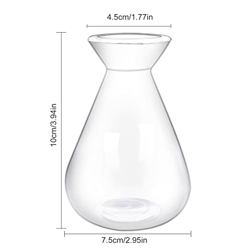 Emsiok 2 Pieces Avocado Seed Starter Vases, Avocados Tree Growing Kit Acorn Bulb Vase Grow Glass Avocado Pit Planter Pot Clear Hydroponics Container for Gardening Lover - Image 2