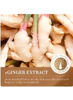SADOER Hair mask MOISTURIZES SMOOTHES GINGER NUTRITION HAIR CARE 10g/0.35fl.oz x 20pcs  - Image 5