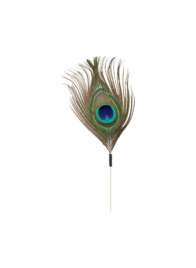 Restaurantware 6 Inch Party Toothpicks, 500 Disposable Cocktail Skewers - Peacock Feather Decoration, Sharp Tips, Multicolor Bamboo Decorative Cocktail Picks, For Garnishes Or Appetizers  - Image 1
