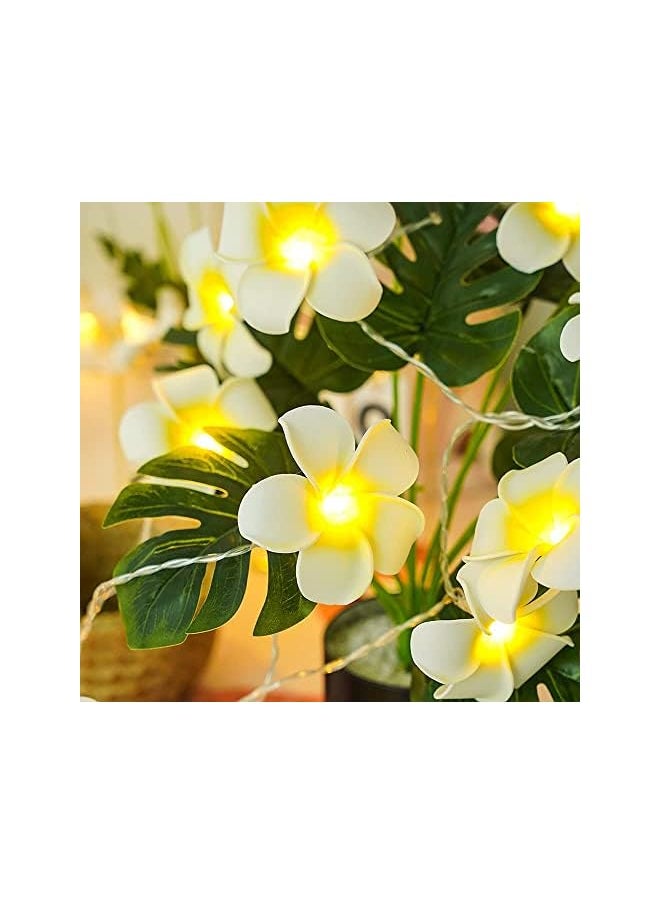 The Bros LED Artificial Plumeria Flower String Lights Hawaiian Foam Flower Light, 3AA/USB Powered, Fairy String Light for Bedroom, Birthday Wedding Beach Party  - Image 4